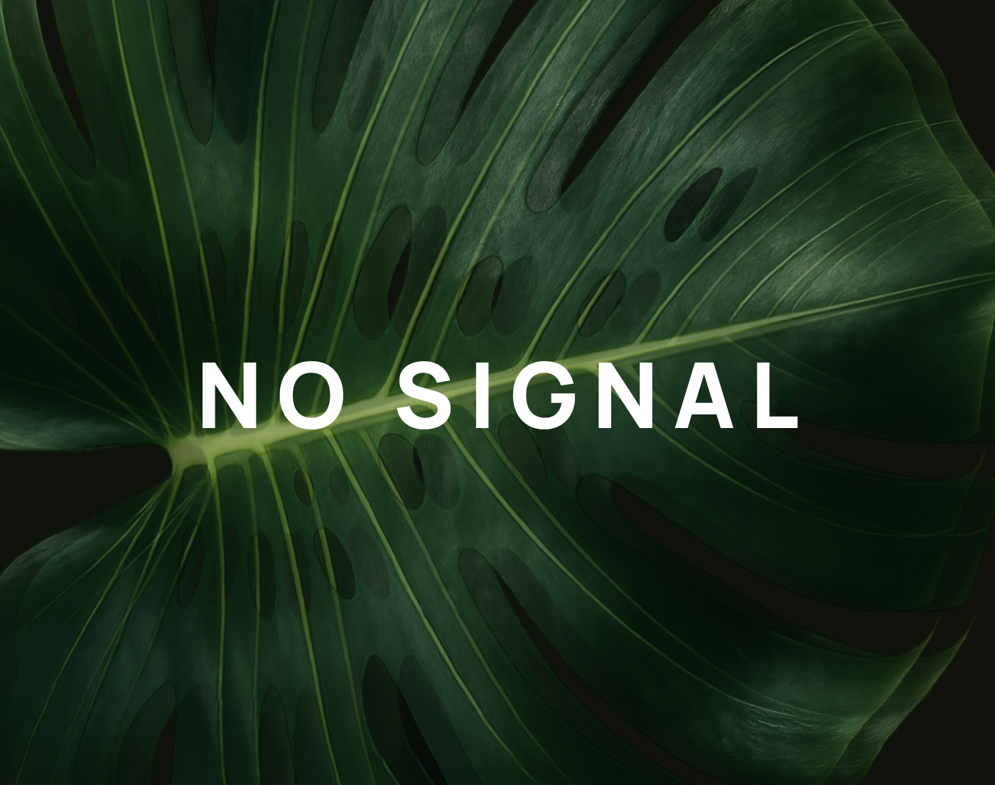 Сайт для проекта о цифровом детоксе «NO SIGNAL»