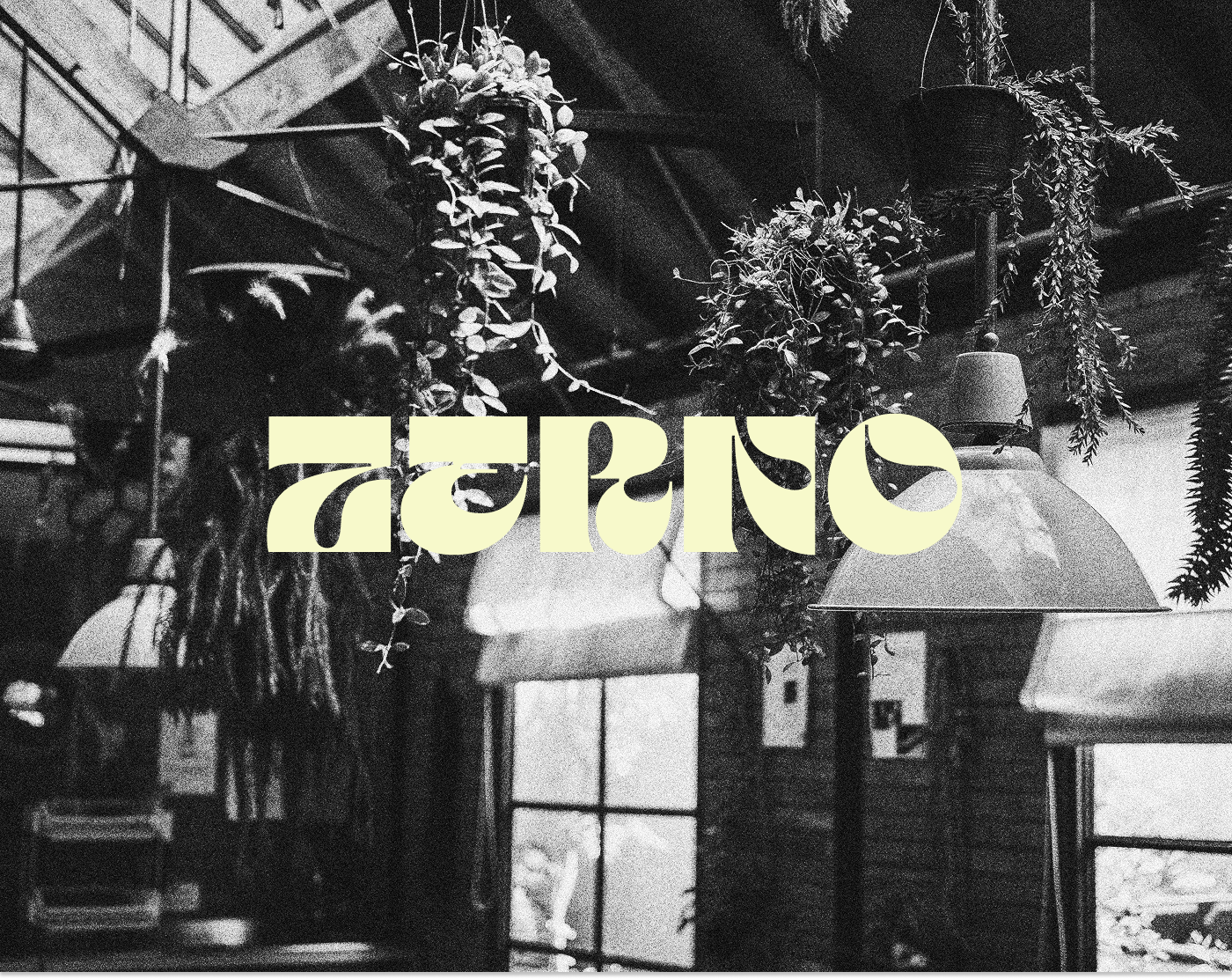 Сайт для спешелти-кофейни «ZERNO»